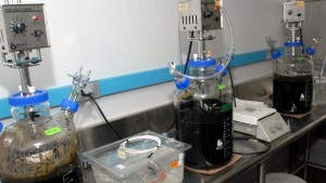 Three large, sealed, stirred anaerobic digestion vessels containing a brown sludge