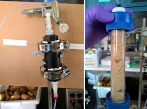Left: small glass column packed with black activated carbon; Right: larger glass column packed with sand.  Both columns are equipped with fine-gage inflow and outflow tubing.