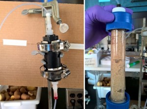 Left: small glass column packed with black activated carbon; Right: larger glass column packed with sand.  Both columns are equipped with fine-gage inflow and outflow tubing.